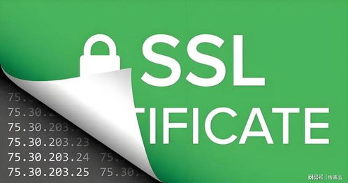 2025年濟南網(wǎng)站建設(shè)公司推薦